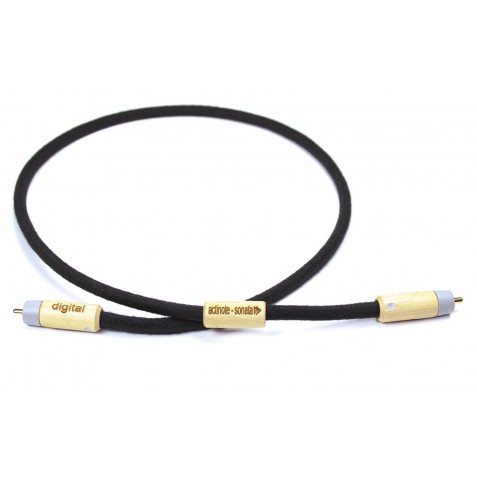 ACTINOTE-Actinote Sonata Digit XLR EVO II-00