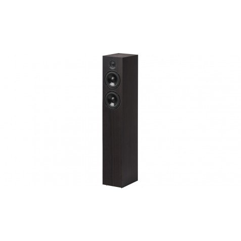PRO-JECT-Pro-Ject Speaker Box 10 DS2-00