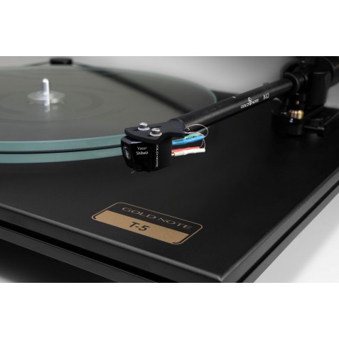 Gold Note-Gold Note Valore T-5 noir-00