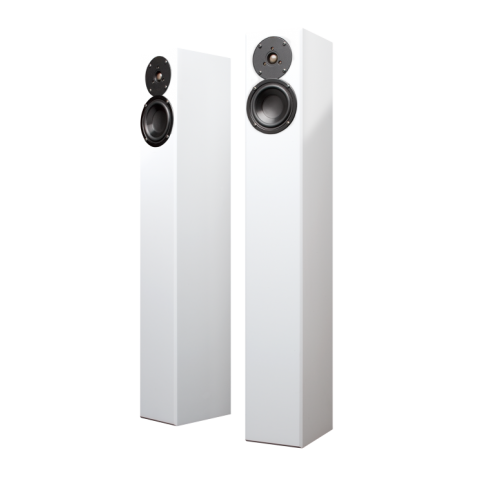 Totem Acoustic Arro