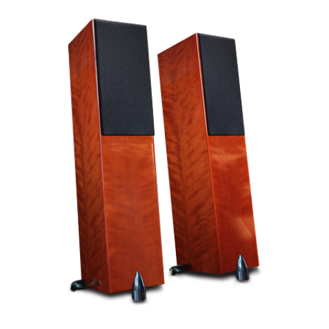 Totem Acoustic Forest Signature 