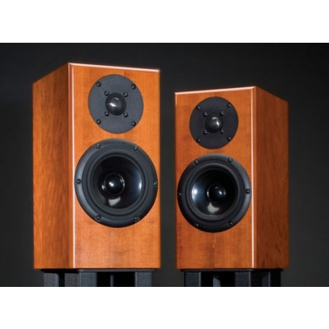 Totem Acoustic Rainmaker