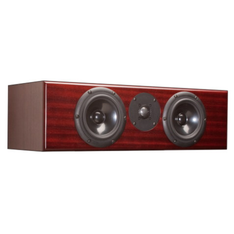 Totem Acoustic Rainmaker Center