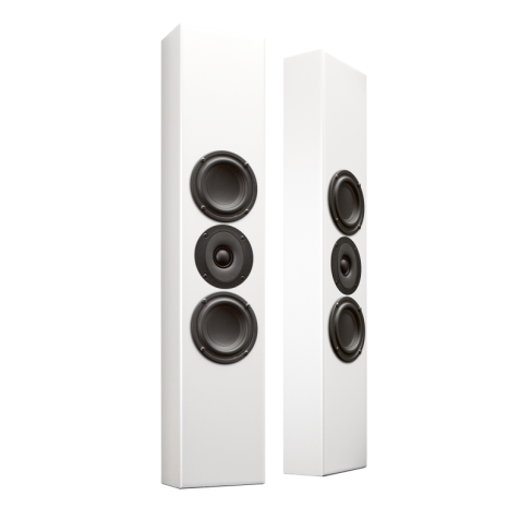 Totem Acoustic Tribe II 