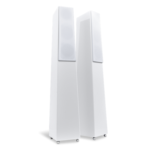 Totem Acoustic Tribe Tower