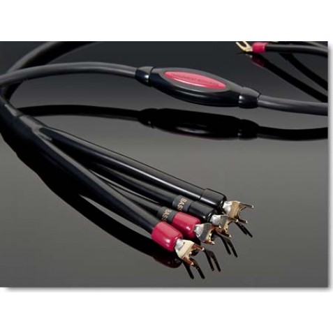 Transparent MusicWave Speaker Cable
