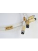 Actinote  Aria RCA EVO II