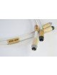 Actinote  Aria RCA EVO II