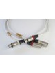 Actinote Aria XLR EVO II