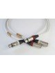 Actinote Aria XLR EVO II