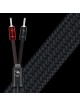 Audioquest Robin Hood BASS