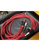 STENDHAL RUBY modulation XLR