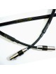 Purist Audio Design Diamond 35th Anniversary XLR