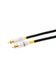 Acoustic Revive DIGITAL 1.0 R