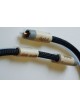 Actinote Mezzo Evo II Digit RCA
