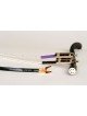 Analysis lPlus low mass Phono RCA ou DIN