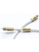 Actinote  Digit Aria RCA EVO II