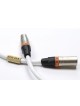 Actinote  Digit Aria XLR EVO II