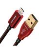 Audioquest USB Cinnamon Lightning 