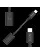 Audioquest DRAGON TAIL USB C-A
