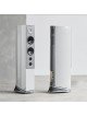 Audiovector R6 Avantgarde