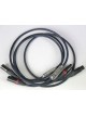 Siltech Classic Anniversary XLR 550 i