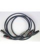 Siltech Classic Anniversary XLR 550 i