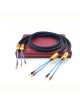Siltech Royal Signature Empror Double Crown Bananas
