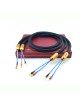 Siltech Royal Signature Empror Double Crown Bananas