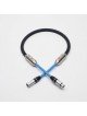 Siltech Royal Signature Golden Eagle 110 XLR
