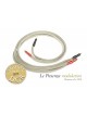 Legato Presenza modulation phono RCA-RCA