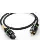 Actinote Mezzo Evo II Câble secteur