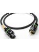 Actinote Mezzo Evo II Câble secteur