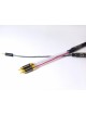 Purist Audio Design 25th Anniversary - 3.5 mm Jack to RCA