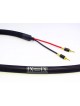 Purist Audio Design Musaeus Speaker Cable