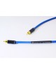 Purist Audio Design Vesta Digital RCA