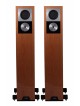 Enceinte REGA RS10