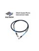 Siltech Royal Signature Queen XLR