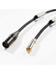 Siltech Classic Anniversary XLR 770 i