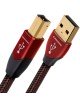 Audioquest USB Cinnamon