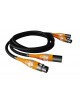 LAB 12  XLR1 