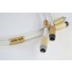 Actinote  Aria RCA EVO II