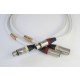 Actinote Aria XLR EVO II