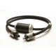 Acoustic Revive Power Sensual MD