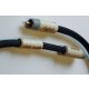 Actinote Mezzo Evo II Digit RCA