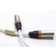 Actinote  Digit Aria XLR EVO II