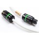 Actinote  Aria Evo II 230