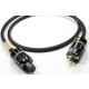 Actinote Mezzo Evo II Câble secteur