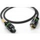 Actinote Mezzo Evo II Câble secteur
