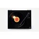 Platine vinyle REGA Planar 1